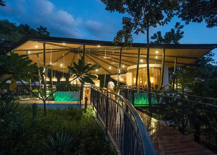 Suitree Experience Hotel